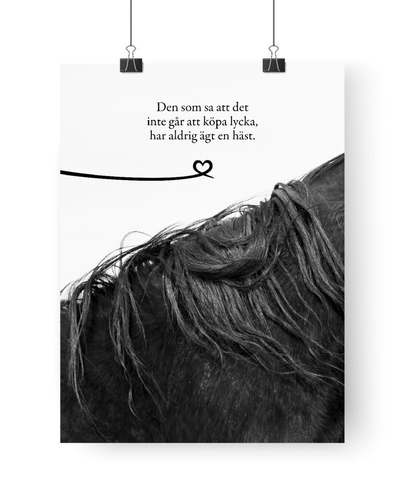 Poster: Lycka