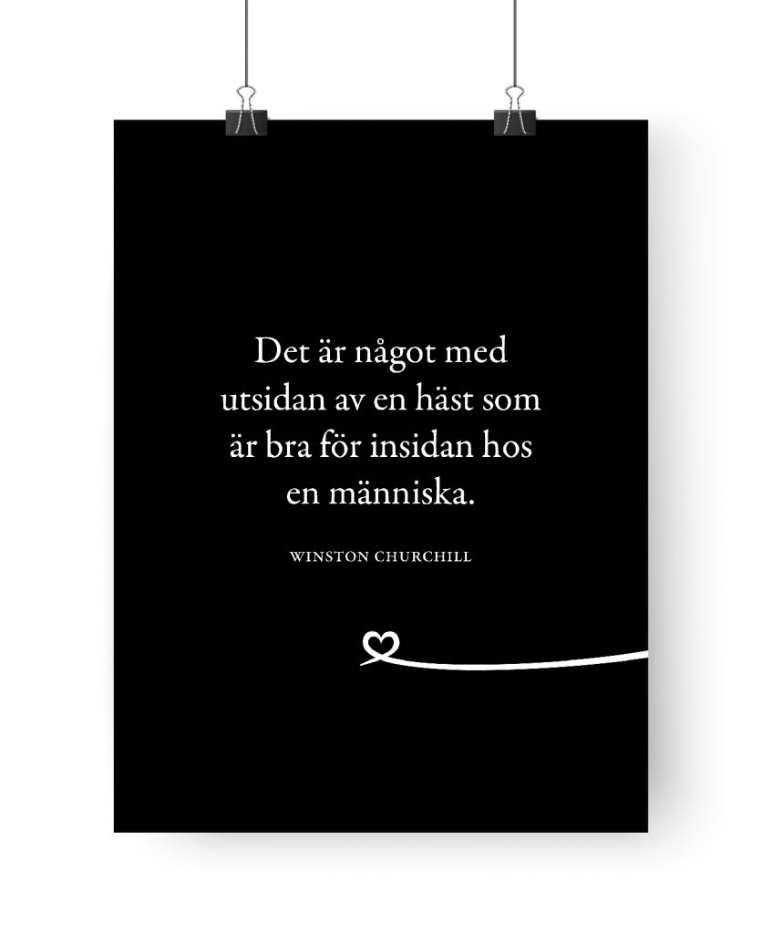 Poster: Det är något med insidan