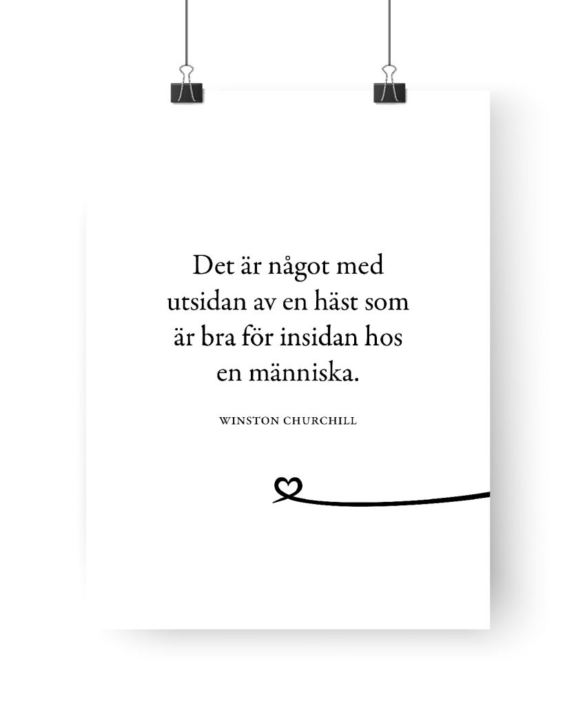 Poster: Det är något med insidan