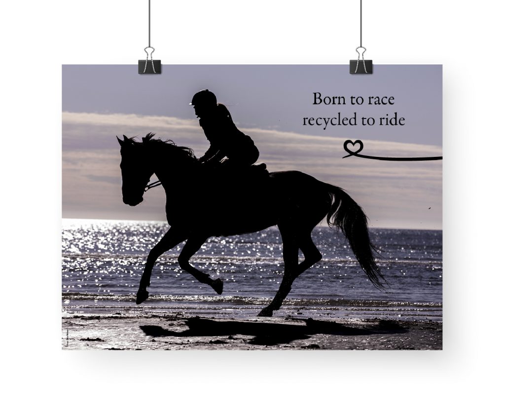 Poster: Born to race recycled to ride