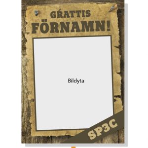Studentskylt Wanted